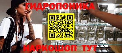 хмурый Краснодар