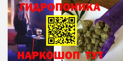 хмурый Краснодар